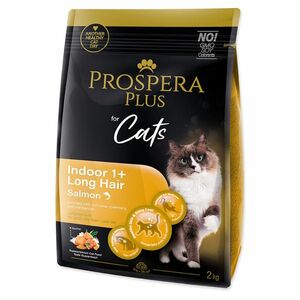 PROSPERA PLUS Indoor 1+ Salmon Long Hair Krmivo pro kočky 1 kus, Hmotnost balení (g): 2 kg obraz