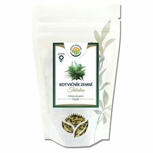 SALVIA PARADISE Kotvičník zemní Tribulus plod 80 g obraz