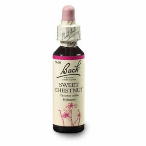 ORIGINAL BACH® Sweet chestnut 20 ml obraz