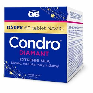 GS Condro DIAMANT 100 + 60 tablet NAVÍC obraz