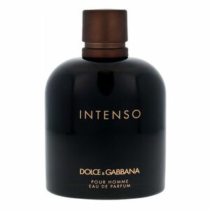 DOLCE&GABBANA Pour Homme Intenso Parfémovaná voda 200 ml obraz