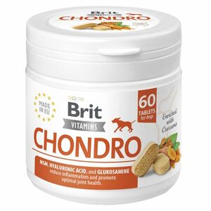 BRIT Dog Vitamins Chondro 60 tablet obraz