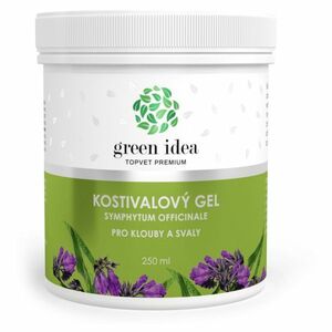 TOPVET Kostivalový masážní gel 250 ml obraz