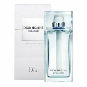 Christian Dior Homme (2013) Kolínská voda 75ml obraz