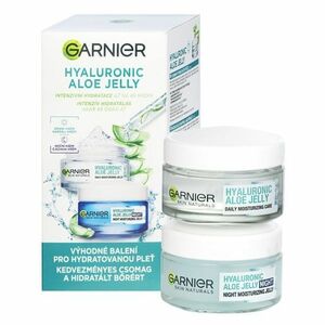 GARNIER Skin Naturals Hyaluronic Aloe Denní pleťový gel 50 ml + Noční pleťový gel 50 ml obraz