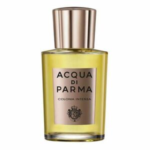 ACQUA DI PARMA Colonia Intensa Kolínská voda 100 ml obraz