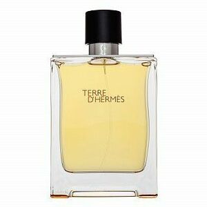 Hermès Terre D'Hermes toaletní voda pro muže 200 ml obraz