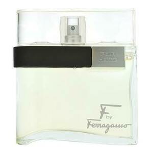 Salvatore Ferragamo F by Ferragamo toaletní voda pro muže 100 ml obraz