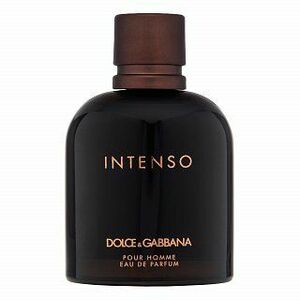 Dolce & Gabbana Pour Homme Intenso parfémovaná voda pro muže 125 ml obraz