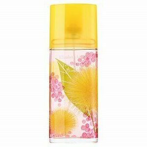 Elizabeth Arden Green Tea Mimosa toaletní voda pro ženy 100 ml obraz