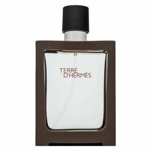 Hermes Terre D'Hermes - Refillable toaletní voda pro muže 30 ml obraz