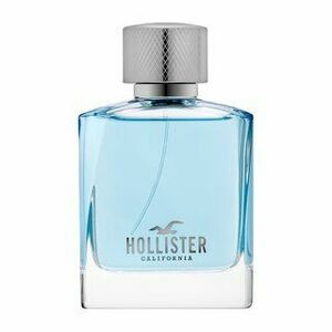 Hollister Wave For Him toaletní voda pro muže 50 ml obraz