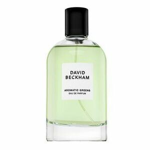 David Beckham Aromatic Greens parfémovaná voda pro muže 100 ml obraz