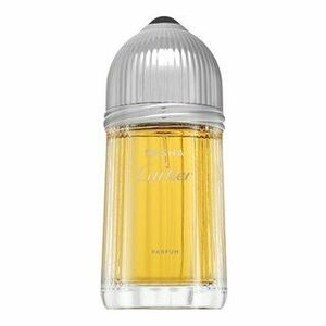 Cartier Pasha čistý parfém pro muže 100 ml obraz