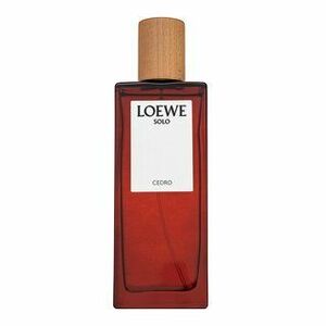 LOEWE - Loewe Solo - Toaletní voda obraz