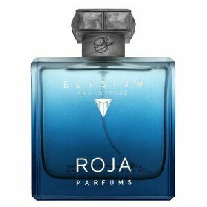 Roja Parfums Elysium Eau Intense parfémovaná voda pro muže 100 ml obraz