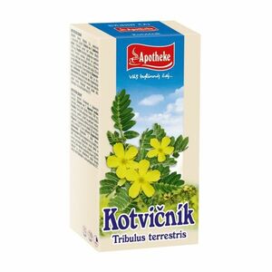 Apotheke Kotvičník zemní nať sypaný čaj 75 g obraz