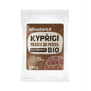 Allnature Kypřicí prášek do pečiva BIO 150 g obraz