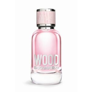 DSQUARED2 Wood pour Femme toaletní voda pro ženy 30 ml obraz