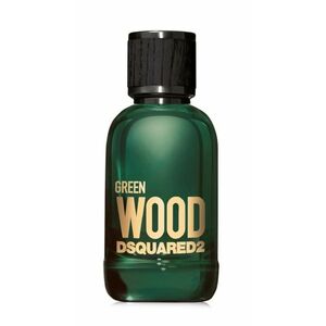 DSQUARED2 Green Wood toaletní voda pro muže 30 ml obraz