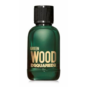 DSQUARED2 Green Wood toaletní voda pro muže 50 ml obraz