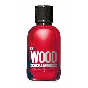 Dsquared2 Toaletní voda Red Wood obraz