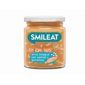 Smileat BIO příkrm losos s hnědou rýží a zeleninou 10M+ 230 g obraz