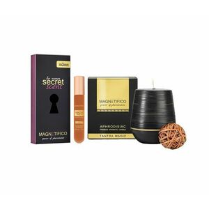 MAGNETIFICO Pheromone Secret Scent parfém pro ženy 20 ml obraz