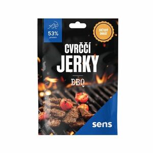 SENS Cvrččí Jerky 53% protein BBQ 25 g obraz