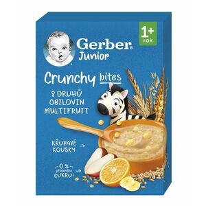 Gerber Junior Nemléčná kaše ovocná 1r+ 200 g obraz