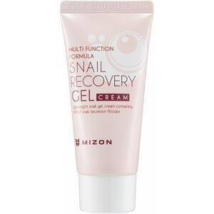 MIZON Snail Recovery gel krém 45 ml obraz