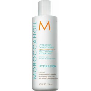 MOROCCANOIL Hydrating Conditioner 250 ml obraz