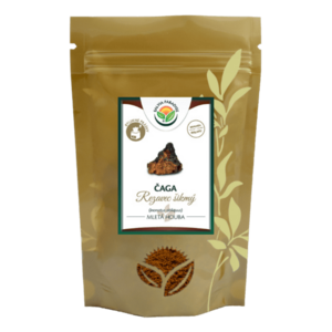 SALVIA PARADISE Čaga - chaga - rezavec šikmý mletý 70 g obraz