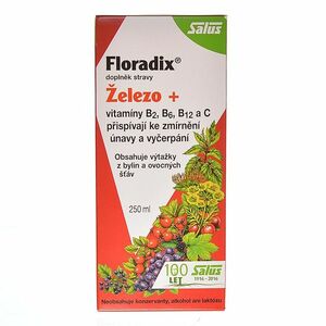 SALUS Floradix bylinný sirup 250 ml obraz