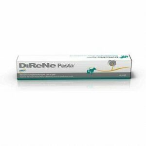 WERFFT CHEMIE DIRENE PASTE 15 ml obraz