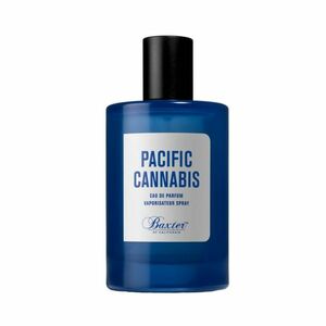 Baxter Pacific Cannabis parfémovaná voda pánská 100 ml obraz