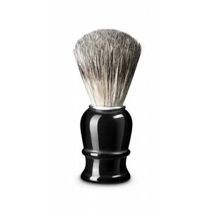 Thiers Issard Black Pure Badger obraz