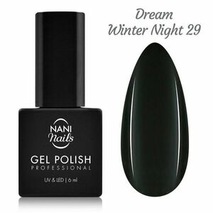 NANI gel lak 6 ml - Dream Winter Night obraz