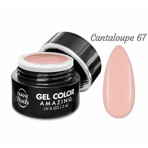 NANI UV gel Amazing Line 5 ml - Cantaloupe obraz