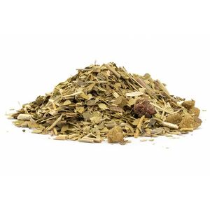 Yerba Mate Lesní ovoce, 10g obraz