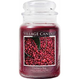 Village Candle Vonná svíčka ve skle Božské brusinky (Cranberry Bog) 602 g obraz