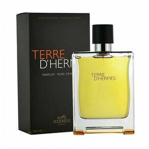 Hermes Terre D´ Hermes - parfém 200 ml obraz