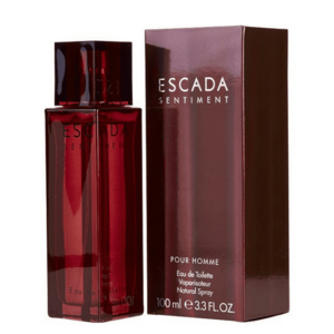 Escada Sentiment Pour Homme - EDT 100 ml obraz