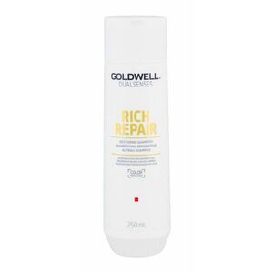 Goldwell Šampon pro suché a lámavé vlasy Dualsenses Rich Repair (Restoring Shampoo) 250 ml obraz