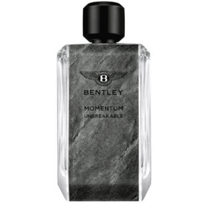 Bentley Momentum Unbreakable - EDP 100 ml obraz