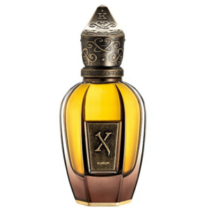 XerJoff Aurum - parfém 50 ml obraz