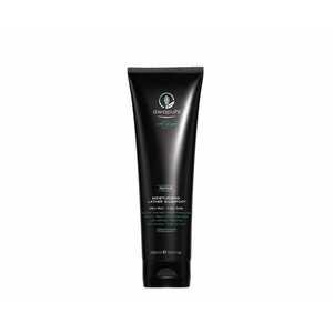 Paul Mitchell Hydratační šampon pro suché, poškozené a barvené vlasy Awapuhi Wild Ginger (Moisturizing Lather Shampoo) 250 ml obraz