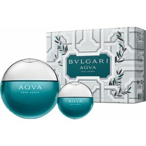 Bvlgari Aqva Pour Homme - EDT obraz