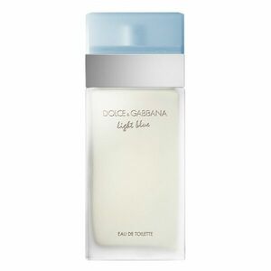 Dolce & Gabbana Light Blue - EDT 100 ml obraz