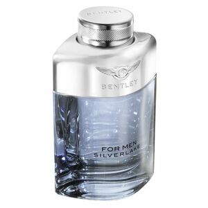 Bentley Bentley For Men Silverlake - EDP 100 ml obraz